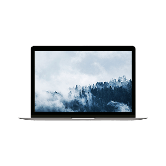 Reparación Macbook Retina 12 inch Early 2016