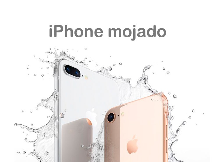 iPhone mojado